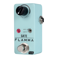 Preview: FLAMMA Noise Gate