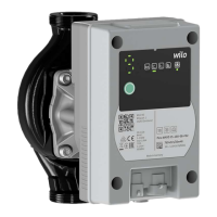 Preview: Wilo Para Maxo