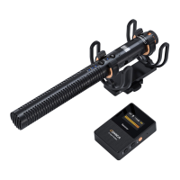 Preview: Comica VM30