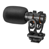 Preview: Comica VM10