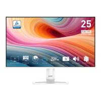 Preview: MSI PRO MP251 E2 (3PD2)