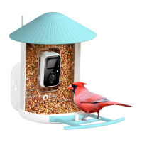 Preview: Birdfy Feeder