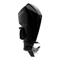 Preview: Mercury 200 Optimax