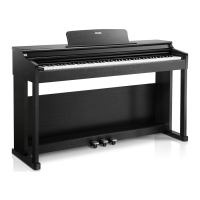 Preview: Donner DDP-100