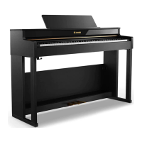 Preview: Donner DDP-400