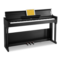 Preview: Donner DDP-90