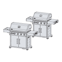 Preview: Napoleon Rogue XT 525