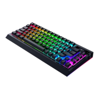 Preview: Razer BLACKWIDOW V4 PRO 75%