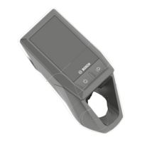 Preview: Bulls Cross Lite Evo