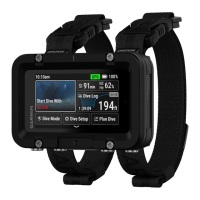 Preview: Garmin DESCENT X50i