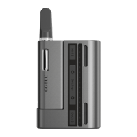 Preview: CCELL Fino