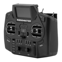 Preview: RadioMaster GX12