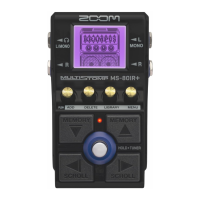 Preview: Zoom MS-80 IR+