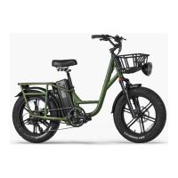 Preview: Fiido T1 Pro