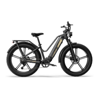 Preview: Fiido Titan