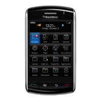 Preview: Blackberry Storm