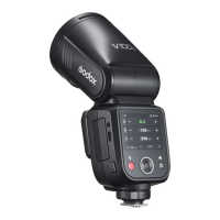 Preview: Godox V100