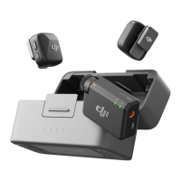 Preview: dji MIC MINI