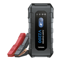 Preview: Topdon V2200