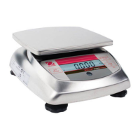 Preview: OHAUS Valor 3000