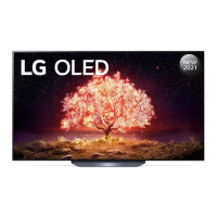 Preview: LG OLED B1