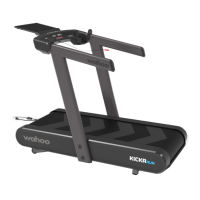 Preview: Wahoo KICKR RUN