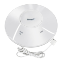 Preview: ECOWITT GW2000