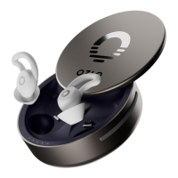 Preview: OZLO SLEEPBUDS