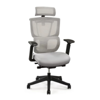 Preview: Flexispot C7