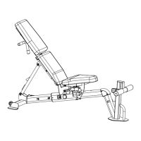 Preview: CENTR INSPIRE Series