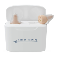 Preview: Audien Atom Pro