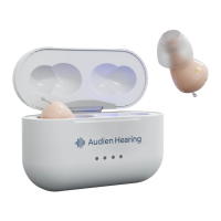 Preview: Audien Atom Pro 2