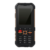 Preview: RugGear RG170