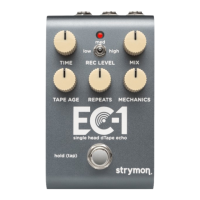 Preview: Strymon EC-1