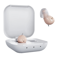 Preview: Audien Atom 2