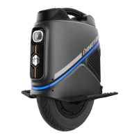 Preview: InMotion V9