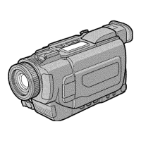 Preview: Sony DCR- TRV15