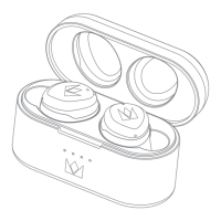 Preview: Noble FALCON MAX