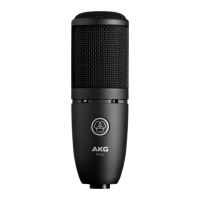 Preview: AKG P120