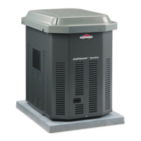 Preview: Briggs & Stratton 40220