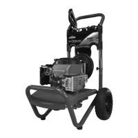 Preview: Briggs & Stratton 20250