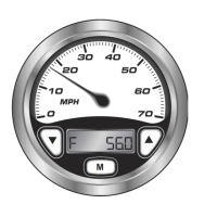 Preview: Speedometer/Depth Sounder