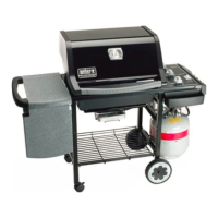 Preview: Weber Genesis Silver A LP 55274