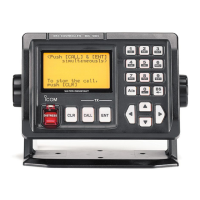 Preview: Icom DS-100