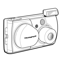 Preview: Olympus C-1 D-150