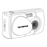 Preview: Olympus D-100/C-1