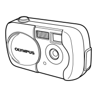 Preview: Olympus Camedia D-390