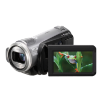 Preview: Panasonic HDC-SD9 PC