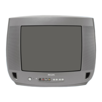 Preview: Philips 14 PT2665