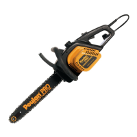 Preview: Poulan Pro 952801955